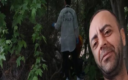 Ağaç Altında Ölü Halde Bulundu! Yüz Tanıma Sistemiyle Kimliği Tespit Edildi
