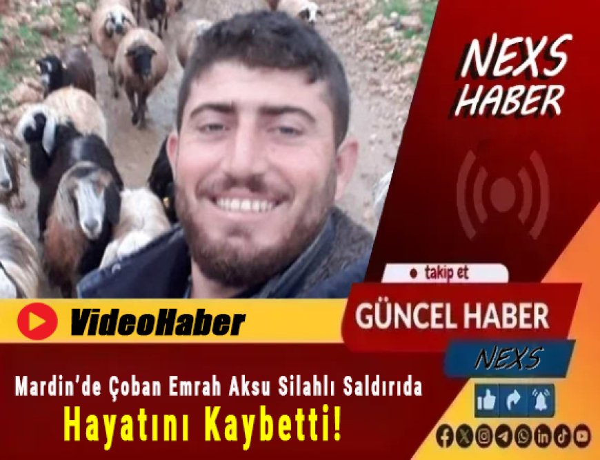 Video Haber | Mardin’de Çoban Emrah Aksu Silahlı Saldırıda Hayatını Kaybetti! Olayın Perde Arkası Ortaya Çıkıyor